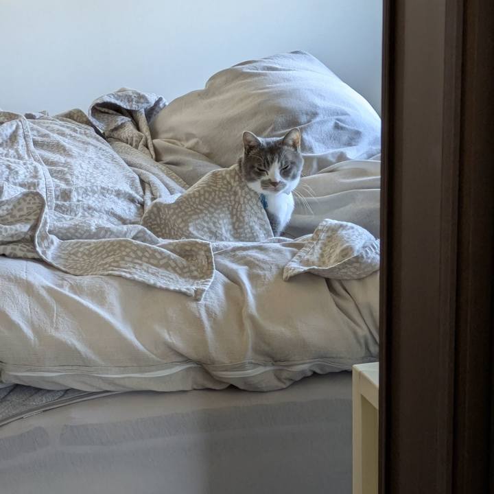 Ac2433b1 b64e 49ee a551 6cf8664831a7 1765428769736