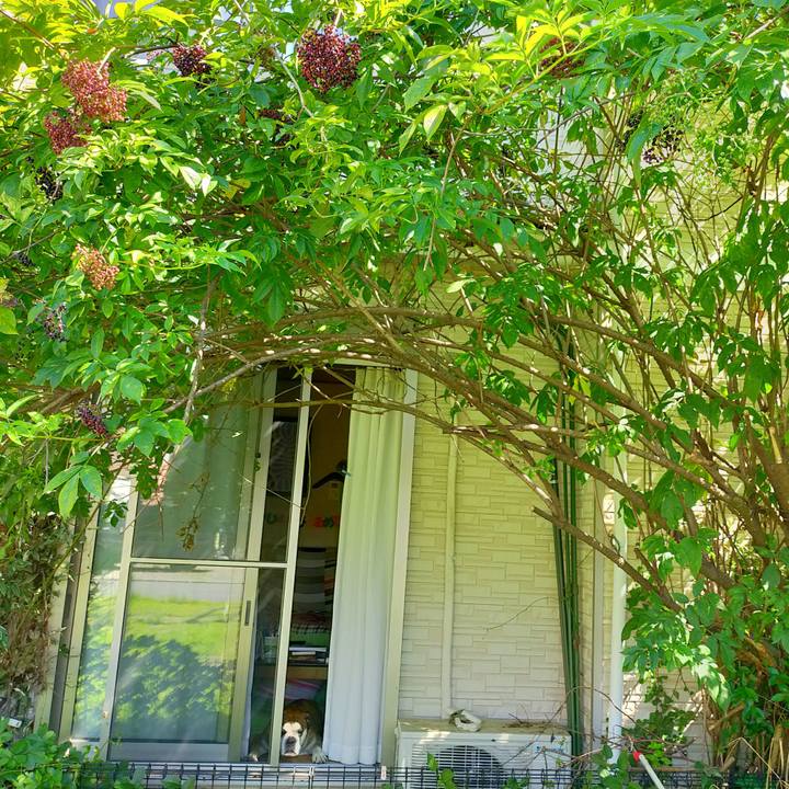 Ac2437ad 7d98 4e17 9dab 312ae3038e15 1629981800845