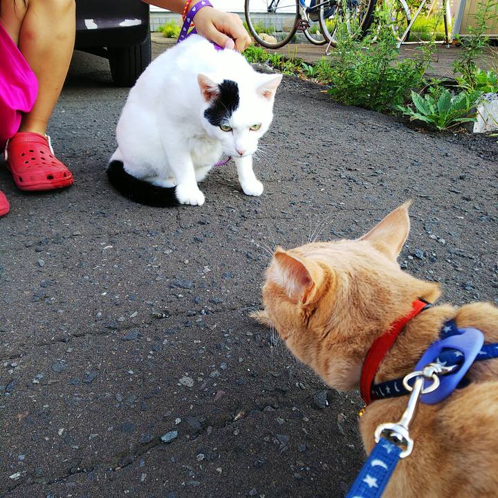 Ac24ac04 91bf 47fa b8a3 31959f71b290 1568065911639