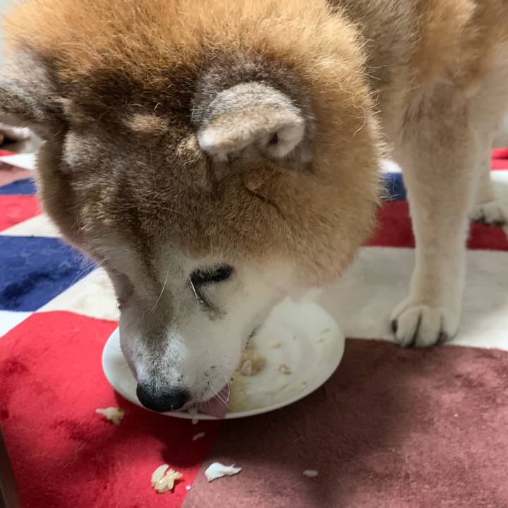 Ac24d23b 5cc0 46bf 9c04 146e526f01cf 1632373878233