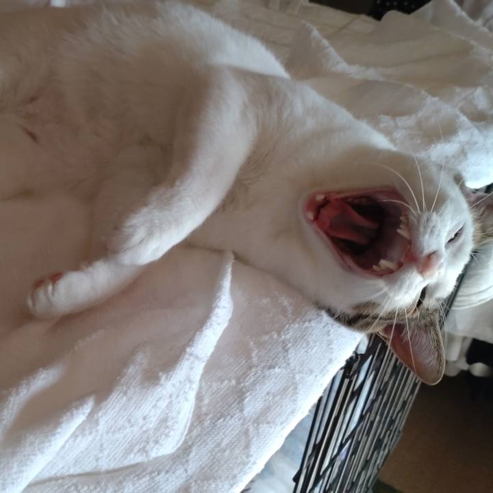 Ac24fe58 9271 4a7b b65e 017189446a6c 1695353083787