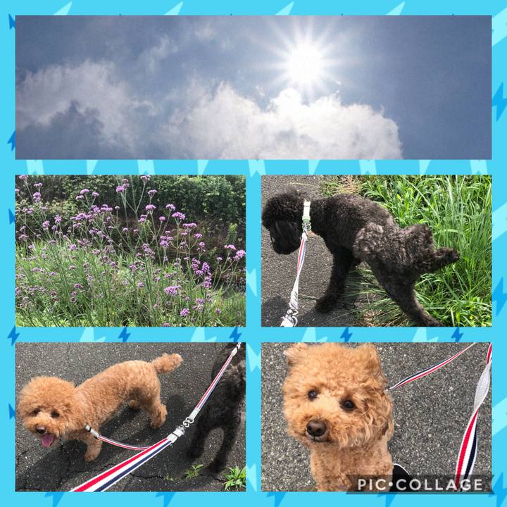 Ac2503b1 89f5 4fb5 a396 8abdc0124102 1592181651254