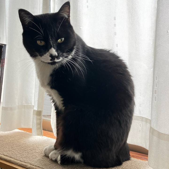 Ac250613 e6d0 40ee b194 14d336c4bd75 1735788115341