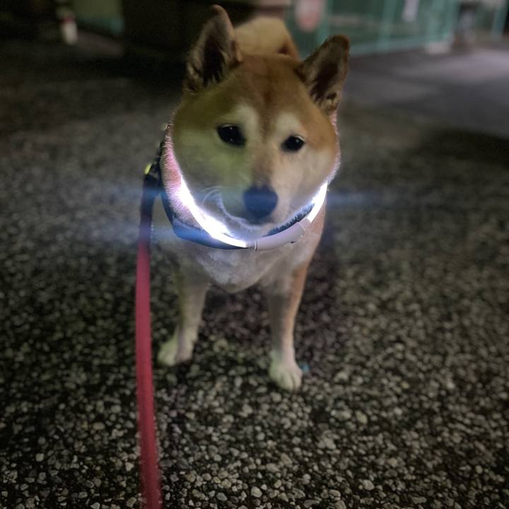 Ac251c93 ffbc 4365 8ea3 5344379fc292 1699954533422