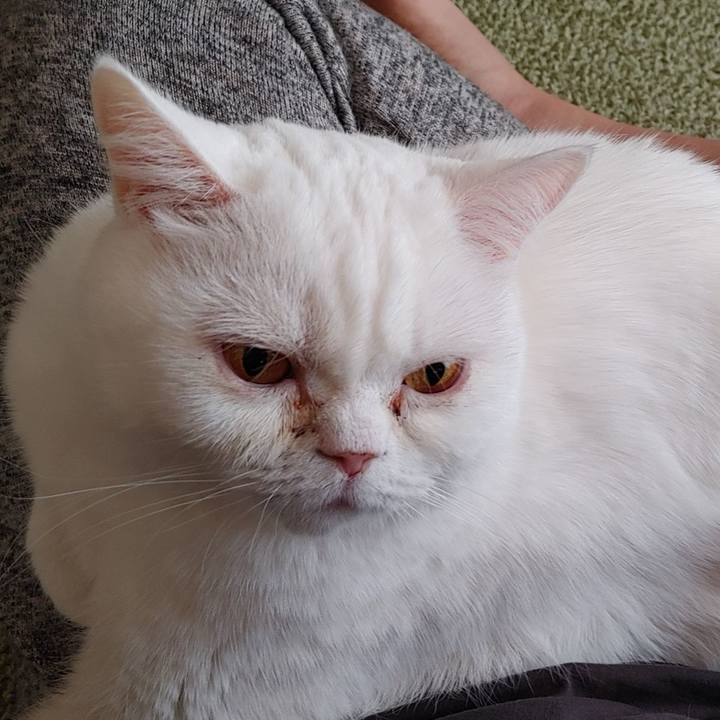 Ac256243 b6fb 41c4 9e00 c98f86c97a97 1642834559084