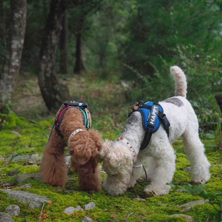 Ac2573f9 84b4 485e a574 0e5a7f415924 1567304217626