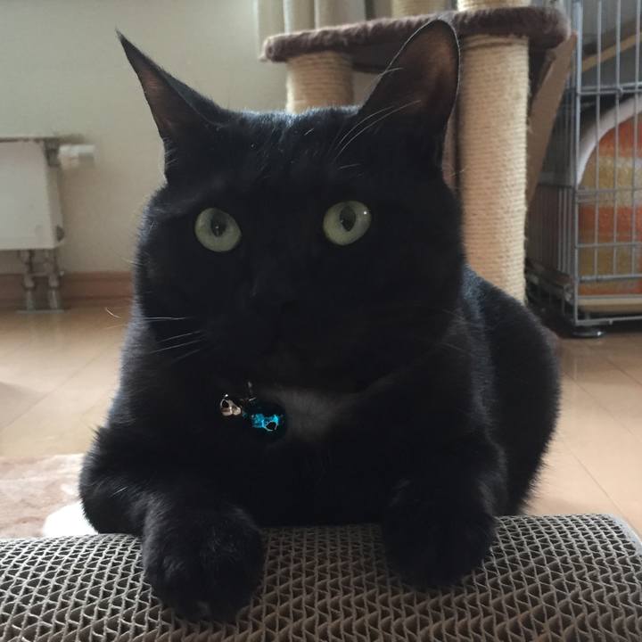 Ac25a03a ba57 44d0 8fdd b06404cebd78 1512042730252