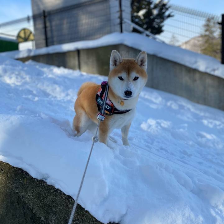 Ac25f0fd 53fe 4020 923d 3e36e1f0ced0 1610333460547