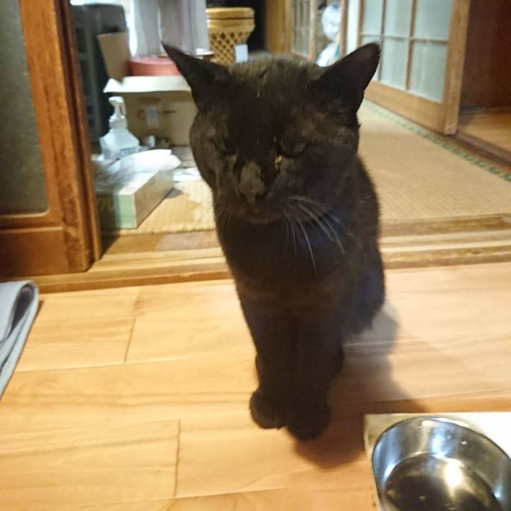 Ac25f6f2 1e4b 466a 97e1 23cdd2dc9e3d 1627910813992