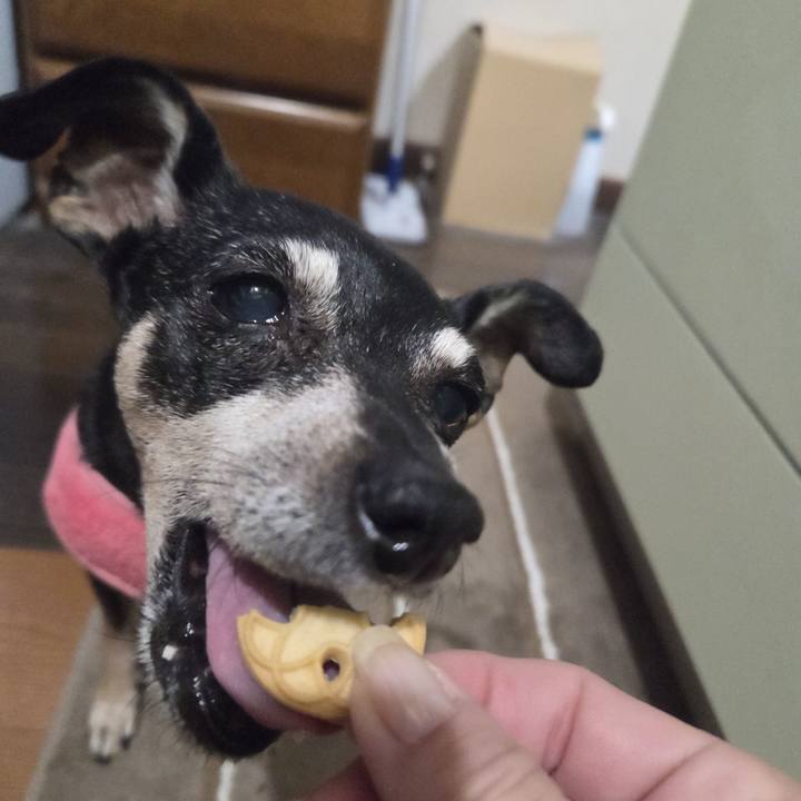 Ac263239 84b7 49d6 b85e 50369444a121 1766087277052