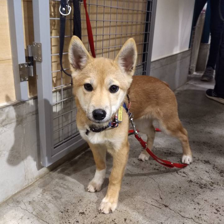 Ac26484e dec8 4b3c b7bf 51aedf626b87 1550318874937