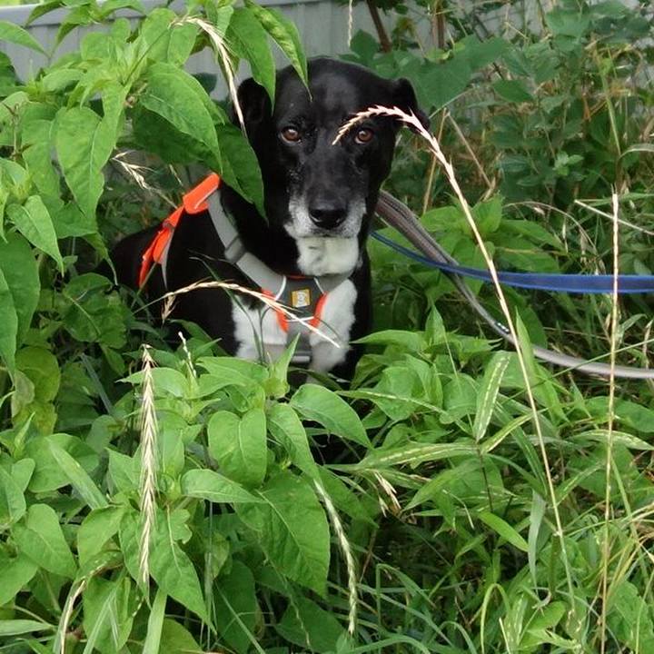 Ac26757c 131e 4cc6 bb2c 433721ffb124 1718536319976