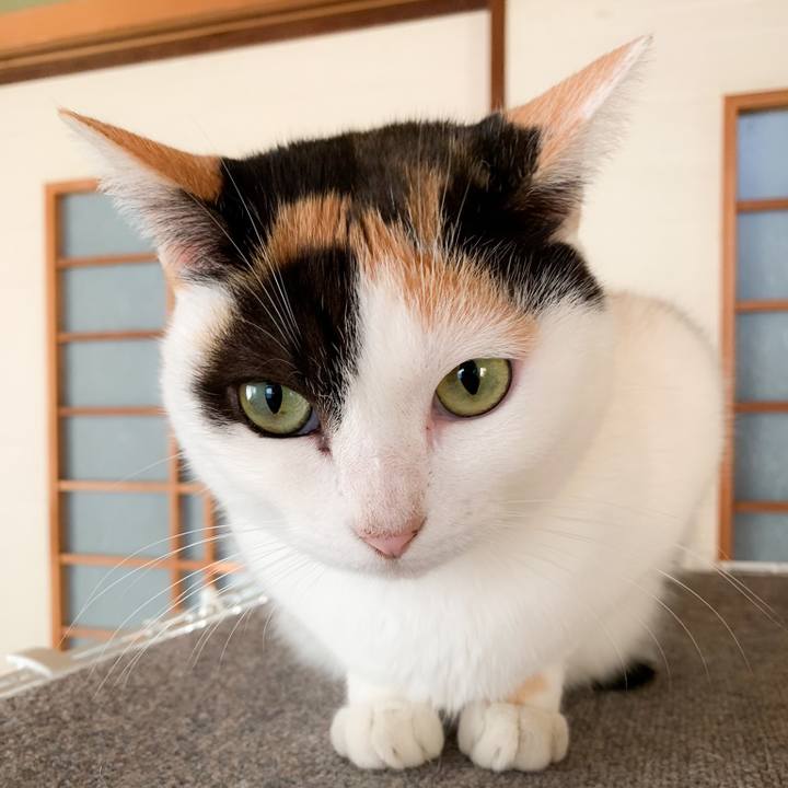 Ac269ef6 ff7f 4077 ae59 d123ad977924 1573869167047