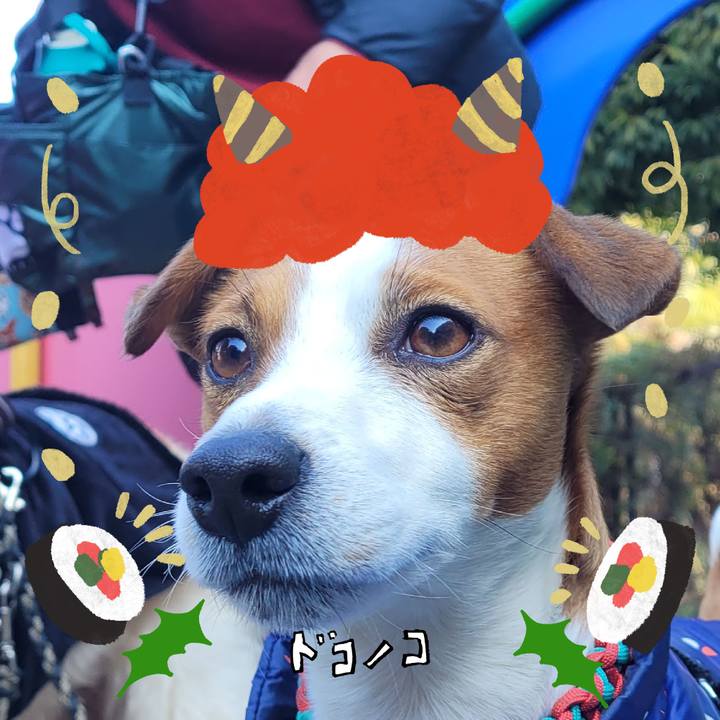 Ac26a473 3b0f 4299 aca6 fd7444444d67 1706775328035