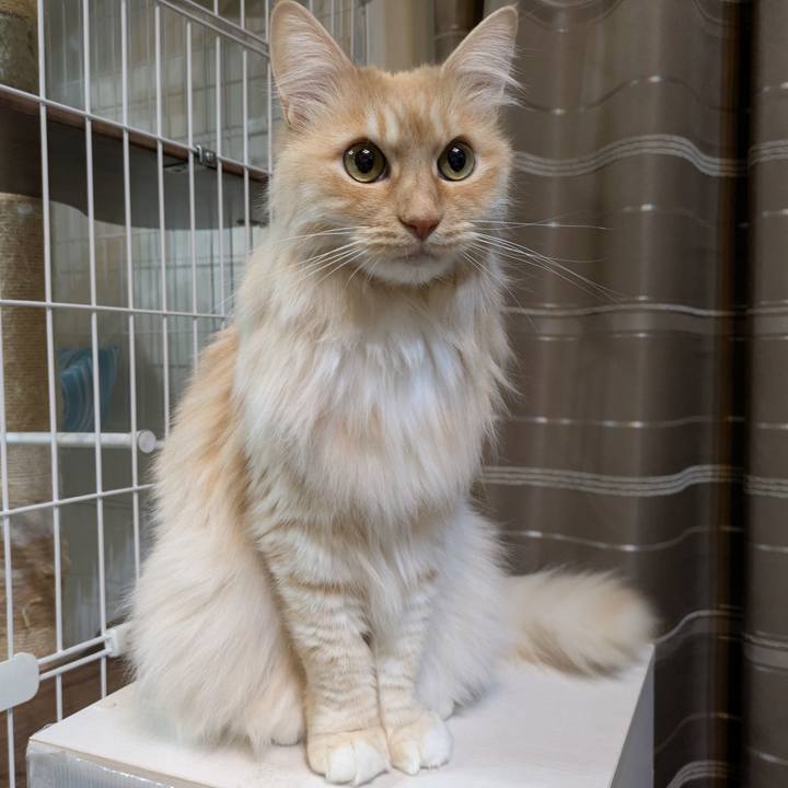 Ac26d660 24e7 4fc7 ade1 3ffdf8684c24 1740747685740