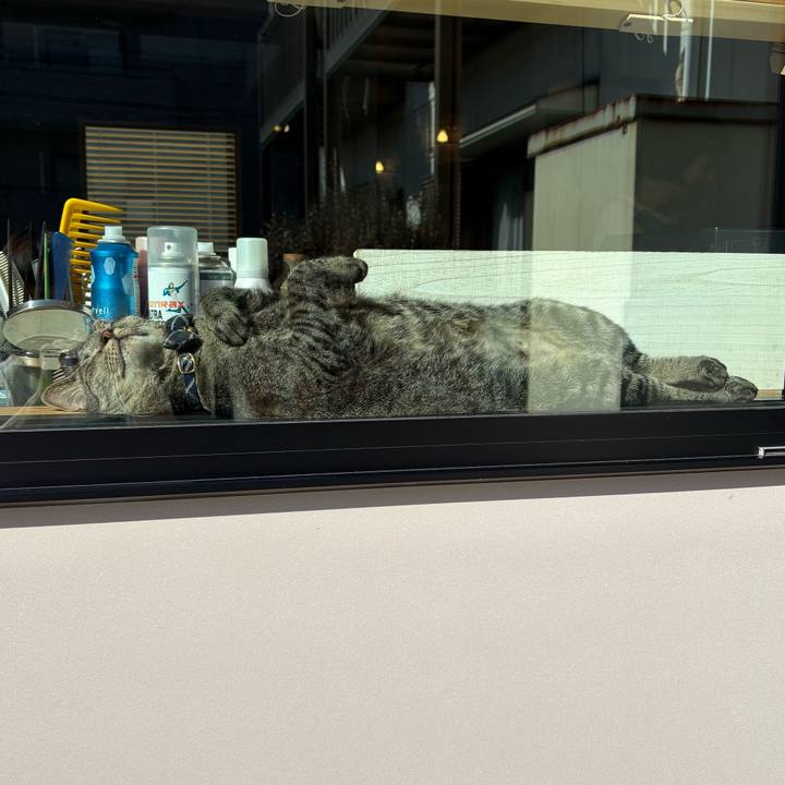 Ac26e7c2 bcec 4b59 b5d8 67773ac6c5d1 1761198364541