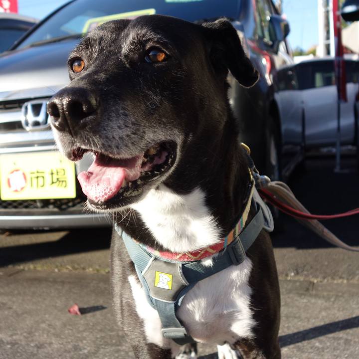 Ac26edad bb0d 479f 85c3 3e1937d913d5 1731457758290