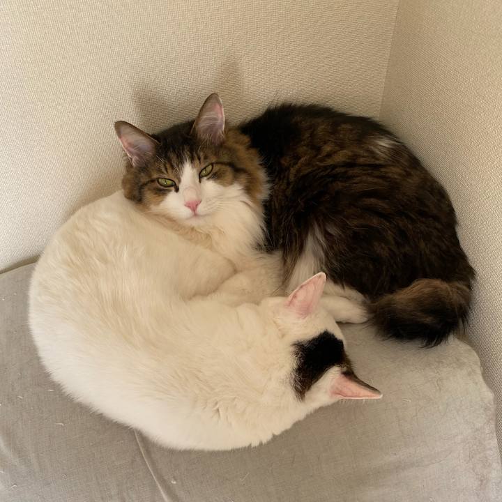 Ac272b09 efa3 46c7 baf5 3cfb0ad3b5b5 1673394395476