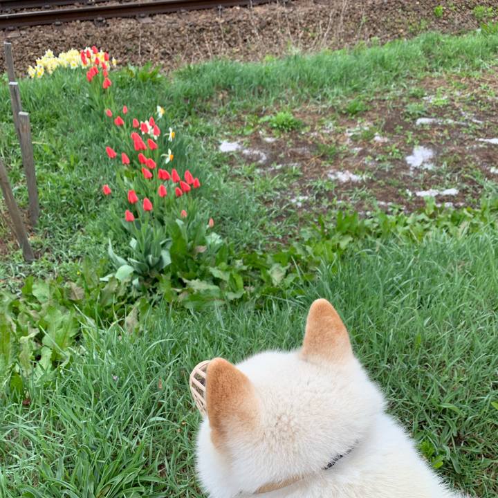 Ac274b5d d5ff 4915 9366 20b31ec5390e 1557471034293