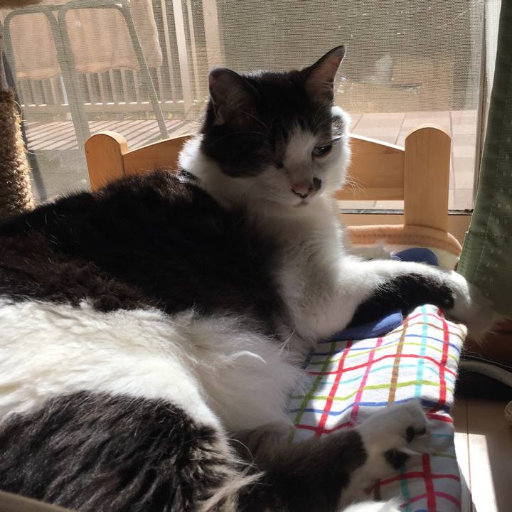 Ac278acc 24eb 48e4 bba5 95e24356a6a4 1550890262021