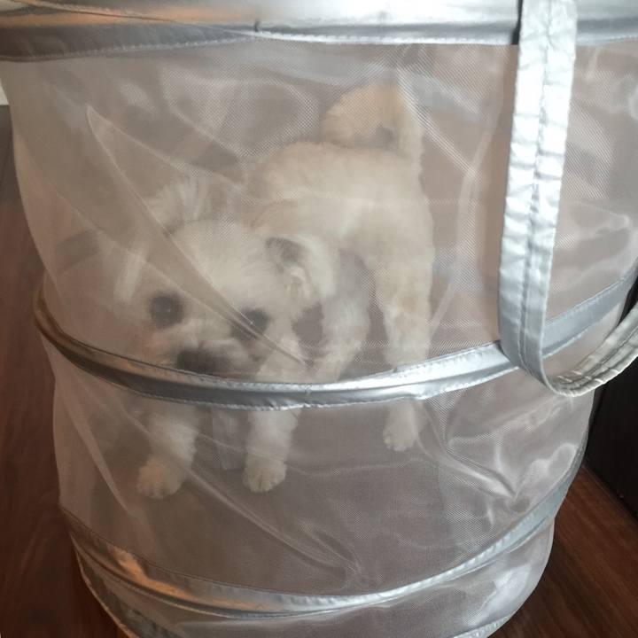 Ac279185 a1d1 48f5 9405 ceab6875ce40 1520671656423