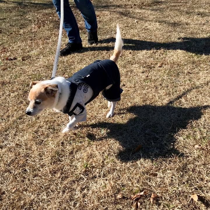 Ac279ea4 026a 405d 9b7b 038d5369a11b 1639814267006