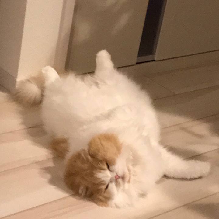 Ac27a928 a334 40db a16c 433fd3ac595c 1573483149674