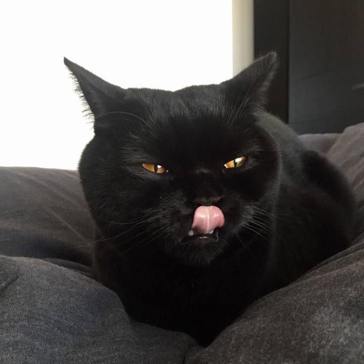 Ac27f9d3 c8ae 4b77 ae8d 6691d2b9e293 1547640941110