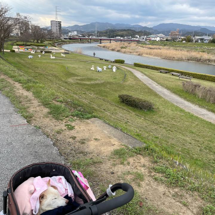 Ac280e95 b713 4a2a b8be a9bbb350d7ac 1679314663856