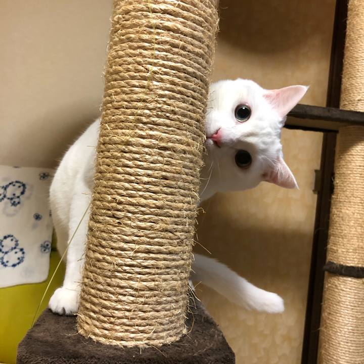 Ac281a1b 7f99 4606 837b 05b4cb93f34c 1621772579226