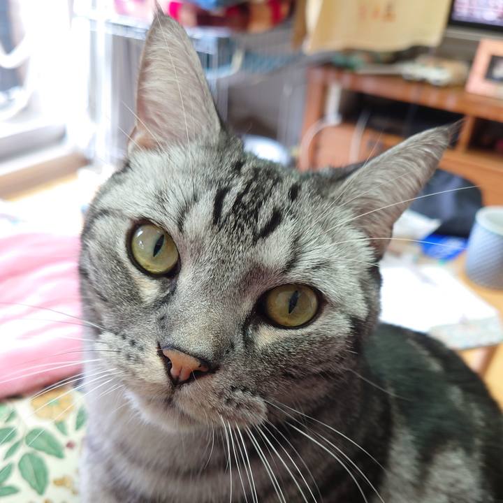 Ac282dde 1665 454e 81e8 ddf3ba4b443d 1615082945554