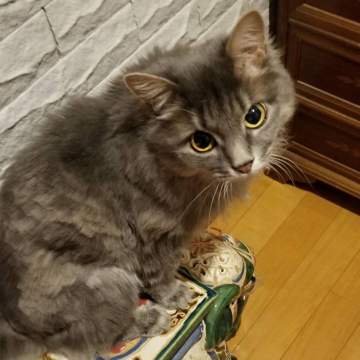 Ac282e44 67b9 40d1 b1b5 213873d6fecf 1566564936488