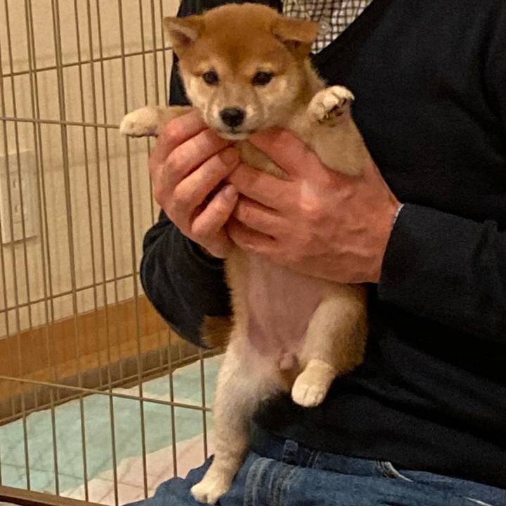 Ac283913 f993 4fc7 af05 da7174af2881 1698192603503