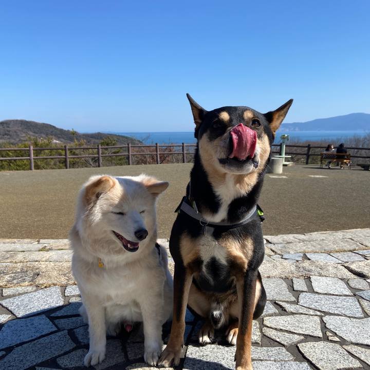 Ac286007 4682 473b 8044 22950af6879e 1678097878351