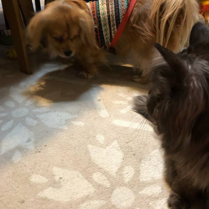 Ac287d87 2882 4cdb 93e0 7a6c59ee122d 1548634359365