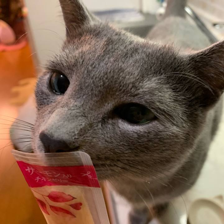 Ac289cf7 34b4 4e8c a122 e82fd529d186 1579814080331