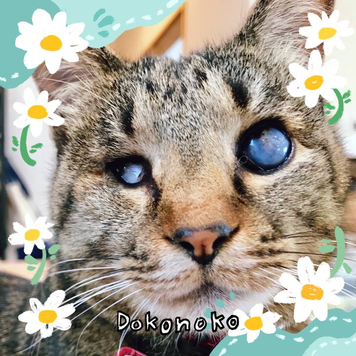 Ac28a905 7158 4883 a9db 750314fa159e 1712315541957