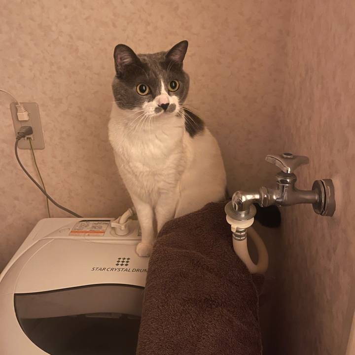 Ac297bcf 4892 4f6f 840d 63cf94b47c65 1741271566002