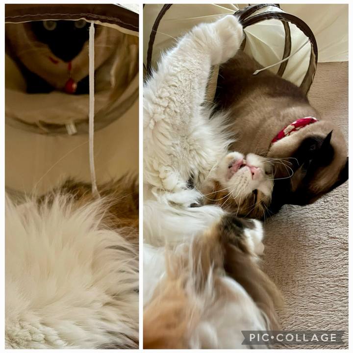 Ac298a86 6d54 4420 b006 35f0afa3e965 1772349999252