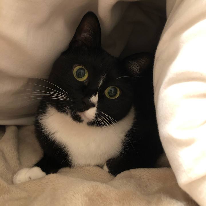 Ac29e23f 7f9e 4d67 add0 858fed27b52a 1543357002522