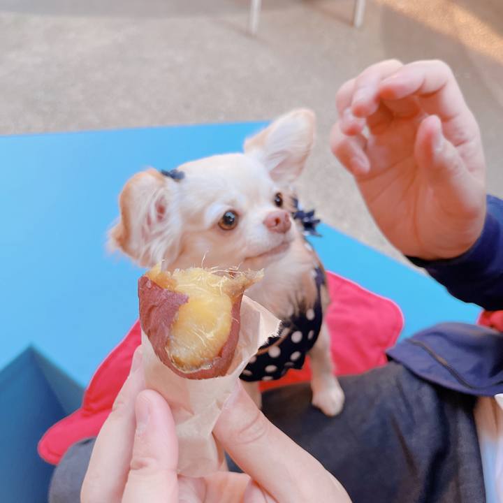 Ac2a12d5 deef 4812 a1cd 308d2a0c400c 1667479320732