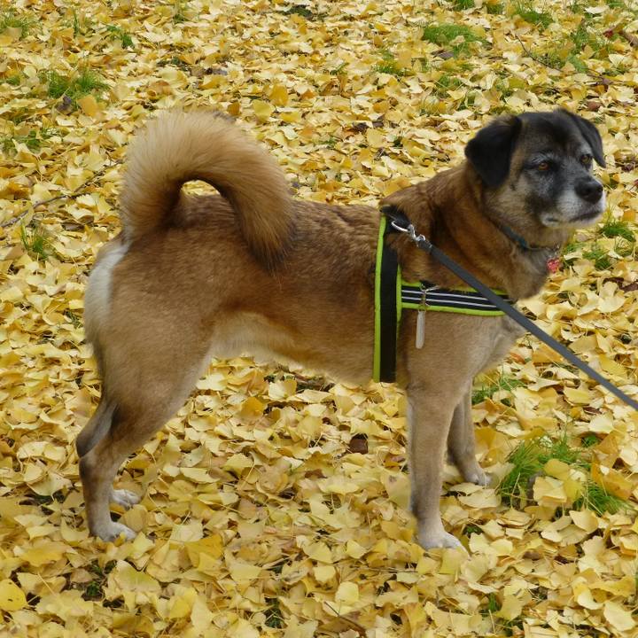 Ac2a2b36 0631 48e0 afc2 d83979dc4af0 1581038049127