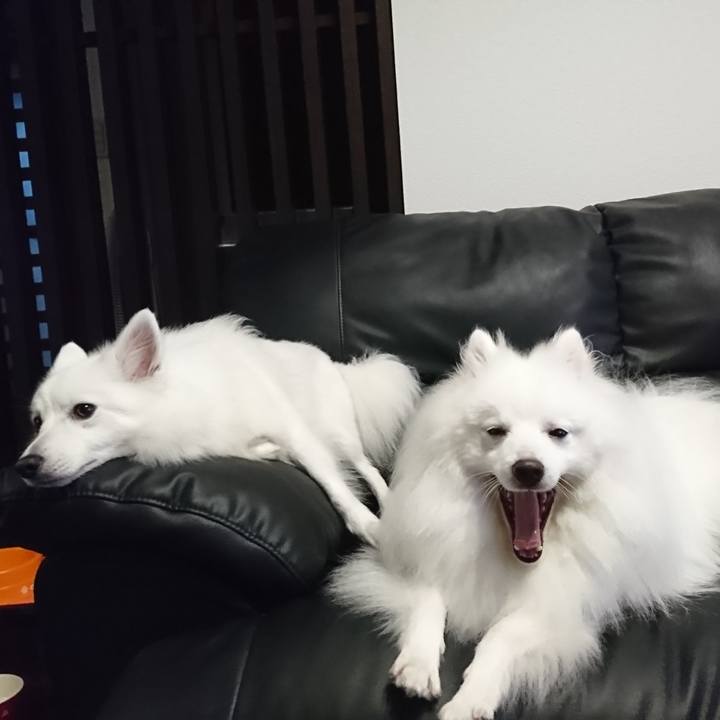 Ac2a38be 551f 4088 b838 9b101e1b29f4 1570847225388