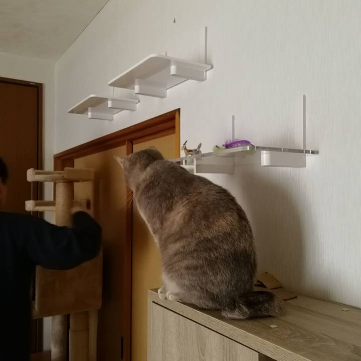 Ac2a4070 7d0a 40c3 9a6a 5558c9da8b6d 1546235283132