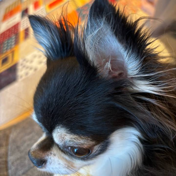 Ac2a5b03 2115 4e05 acda b540a15d80e4 1723477884380