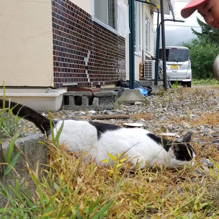 Ac2a63df 1c82 444a 9951 e0f25003e89b 1565155878779