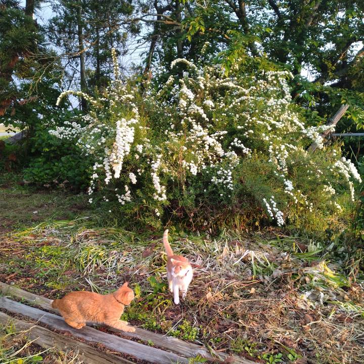 Ac2a8e1c b83f 496e 939c d7fb85a13f05 1748817121733