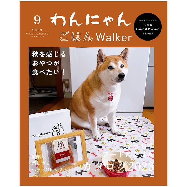 Ac2ab42a 75be 42dc 8efb b83deff502da 1693830365607