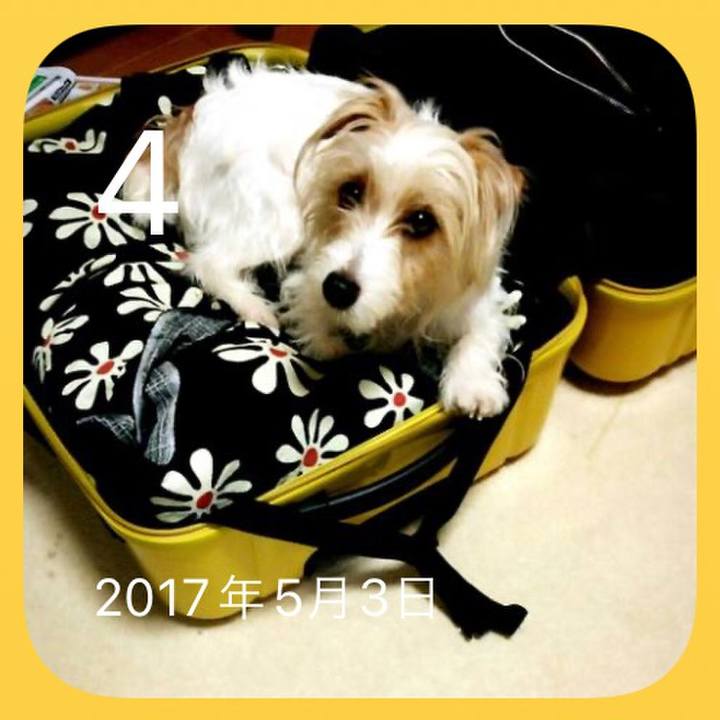 Ac2ab6c0 ab5b 4065 a843 f2186bb98df6 1651646479073