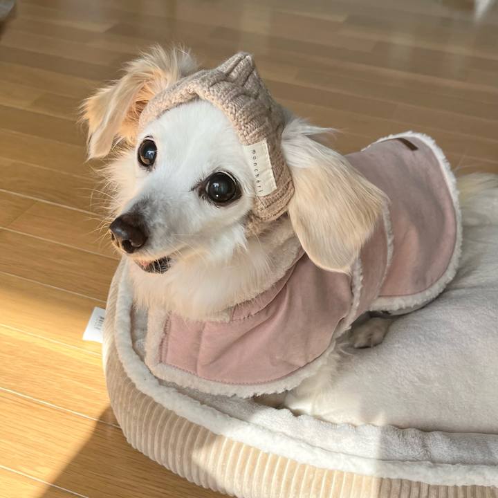 Ac2aff89 a992 451a 8b94 d448bcd34933 1740225653944